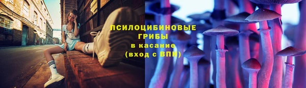 ГАЛЛЮЦИНОГЕННЫЕ ГРИБЫ Алексеевка