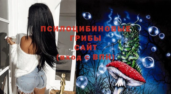 гидропоника Алзамай