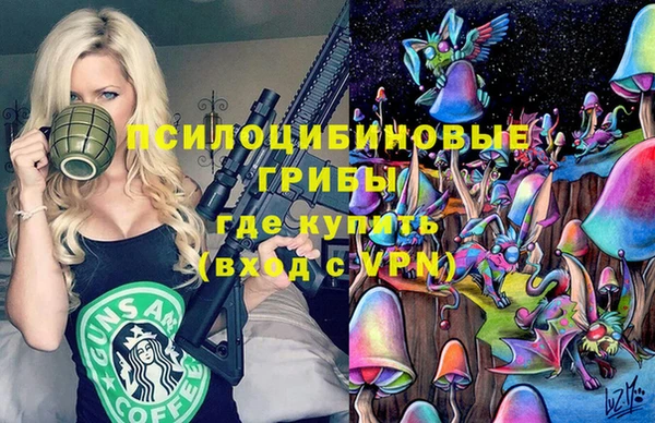 гидропоника Алзамай