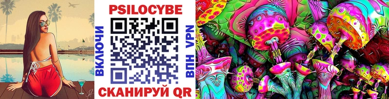Псилоцибиновые грибы Psilocybe Ленинск